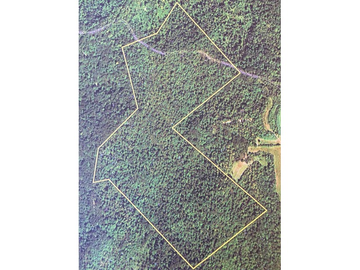 Jackson Co. Land Auction featured photo 2