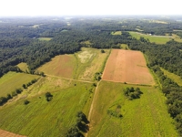 Zimmerman Estate Auction featured photo 1