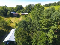 Zimmerman Estate Auction featured photo 11