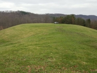 Miller Land Auction * 22 Open & Wooded Acres featured photo 3