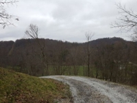Miller Land Auction * 22 Open & Wooded Acres featured photo 5