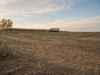Steiner Estate Land Auction featured photo 4
