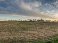 Steiner Estate Land Auction featured photo 5
