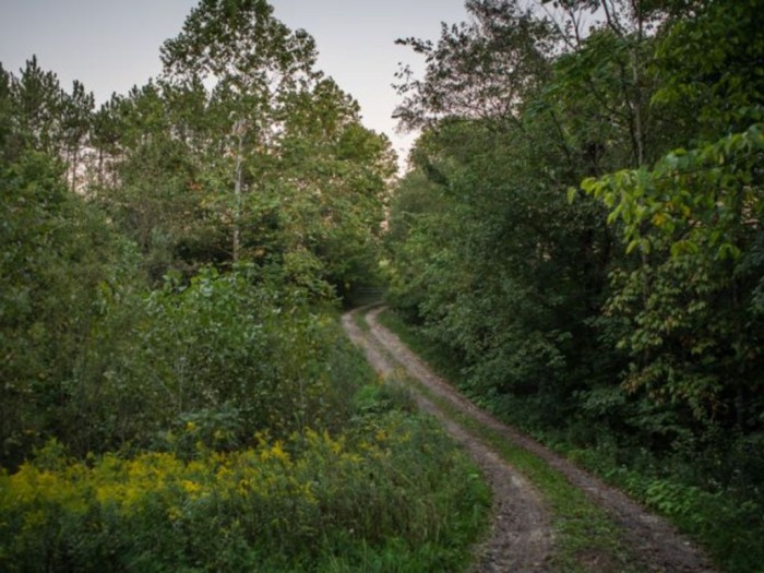 Guernsey County Land Auction featured photo 3