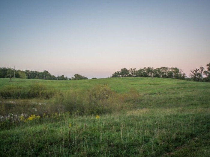 Guernsey County Land Auction featured photo 5