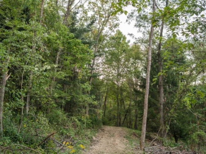Guernsey County Land Auction featured photo 5