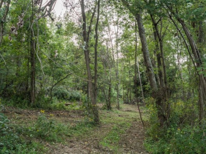 Guernsey County Land Auction featured photo 3