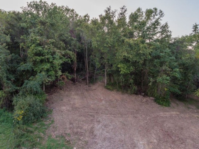 Guernsey County Land Auction featured photo 7