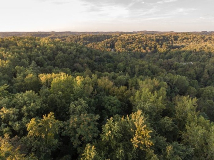 Guernsey County Land Auction featured photo 8