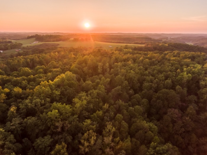 Guernsey County Land Auction featured photo 1