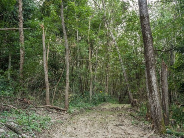 Guernsey County Land Auction featured photo 6