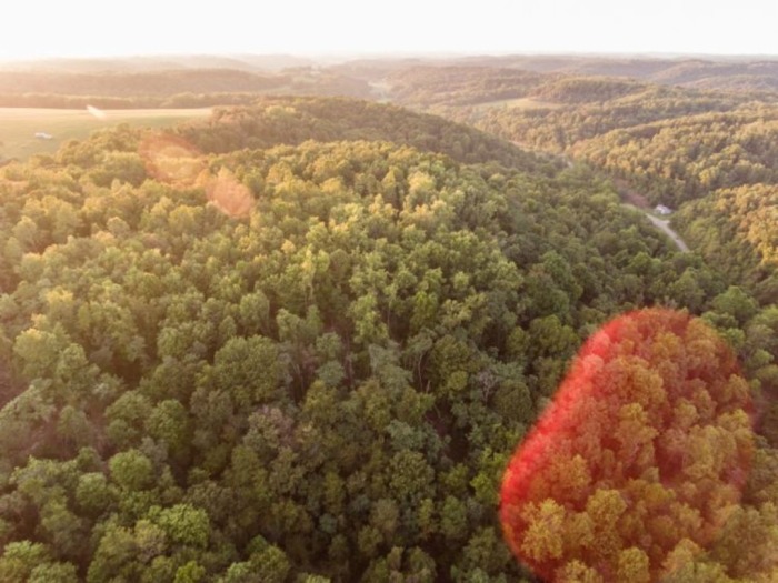 Guernsey County Land Auction featured photo 11