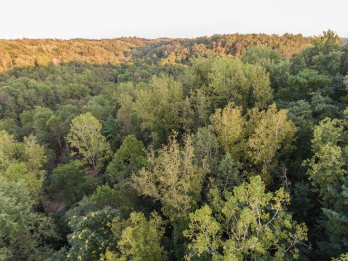 Guernsey County Land Auction featured photo 9