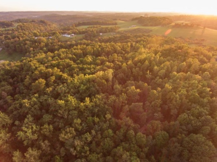Guernsey County Land Auction featured photo 10