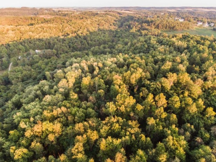 Guernsey County Land Auction featured photo 12