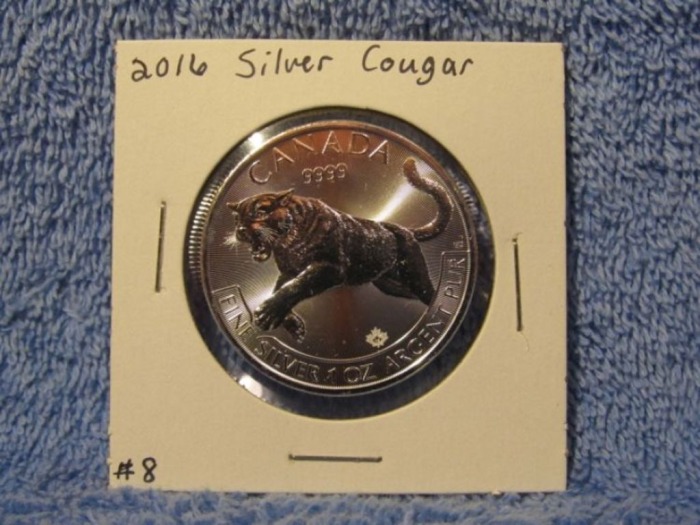 Coin Auction featured photo 12