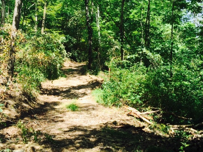 Guernsey County Land & Mineral Auction featured photo 2