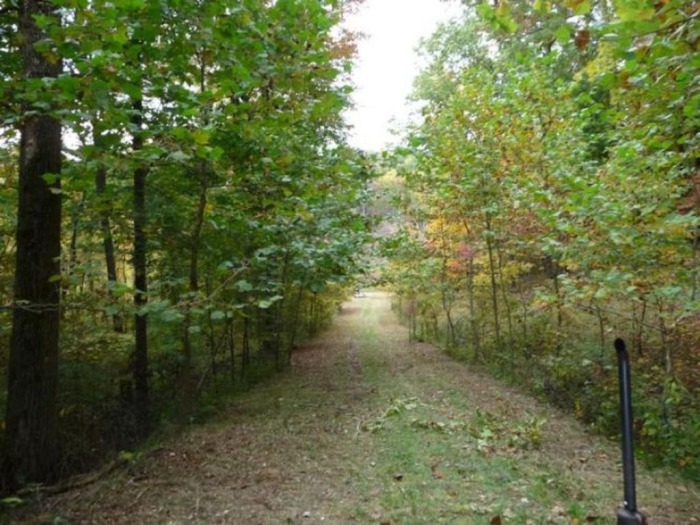 Licking County Land Auction featured photo 12