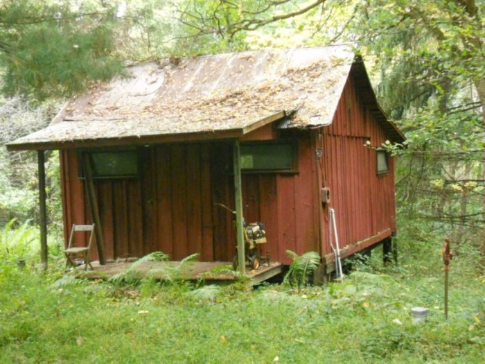 Winslow Estate Land Auction * Wooded Hunting Land Tiverton Center featured photo 4