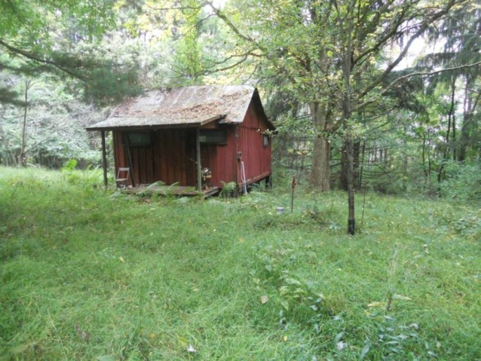 Winslow Estate Land Auction * Wooded Hunting Land Tiverton Center featured photo 3