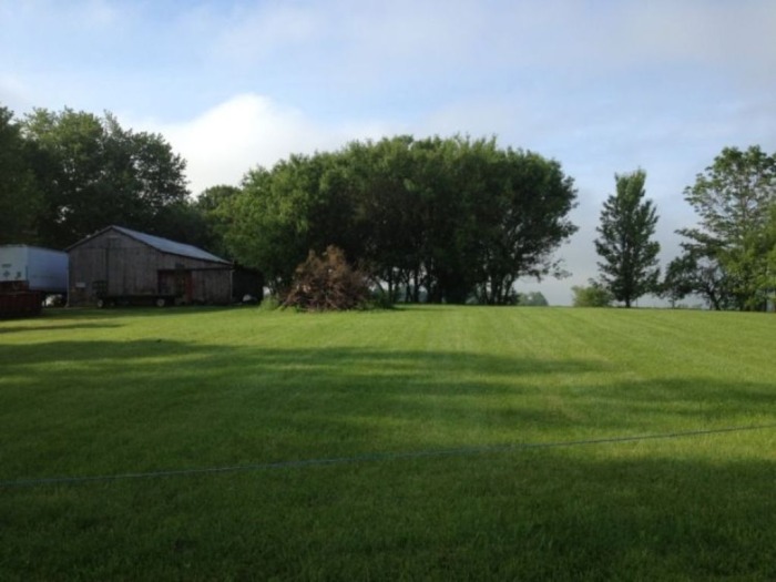 John Miller Estate Auction featured photo 10
