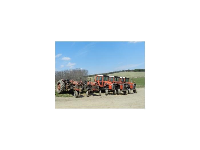 Harstine Farm Auction featured photo 1
