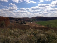 77.2 Acre Hilltop Farm - Auction #2 featured photo 3