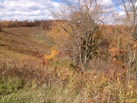 77.2 Acre Hilltop Farm - Auction #2 featured photo 7