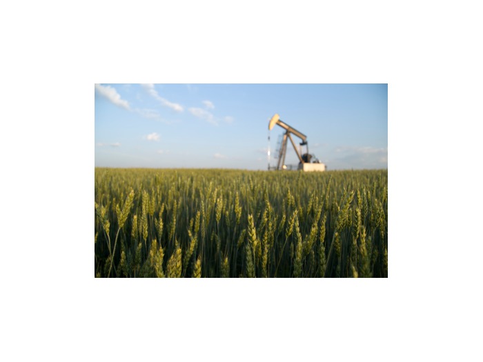 Oil & Gas Rights Only Auction featured photo 1