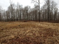 Meigs County Online Only Mineral & Land Auction featured photo 2
