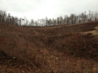 Meigs County Online Only Mineral & Land Auction featured photo 5