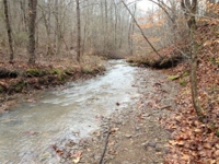 Meigs County Online Only Mineral & Land Auction featured photo 3