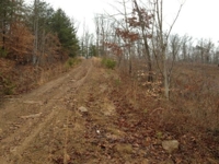 Meigs County Online Only Mineral & Land Auction featured photo 6