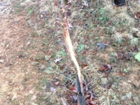 Meigs County Online Only Mineral & Land Auction featured photo 7