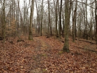 Meigs County Online Only Mineral & Land Auction featured photo 11