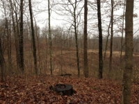 Meigs County Online Only Mineral & Land Auction featured photo 12