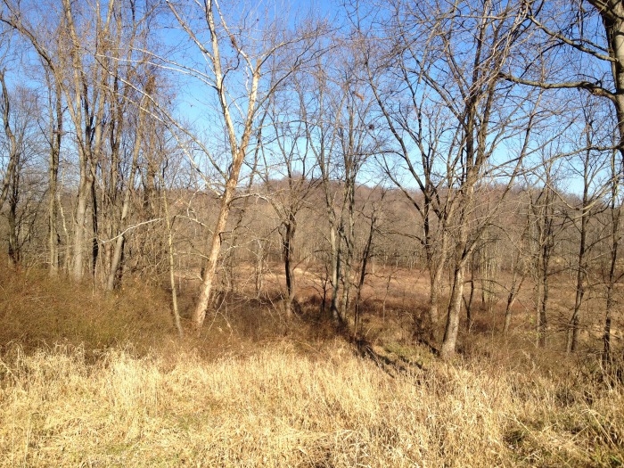 Muskingum County Land & Minerals Auction- Online Auction featured photo 1