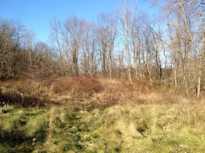 Muskingum County Land & Minerals Auction- Online Auction featured photo 7