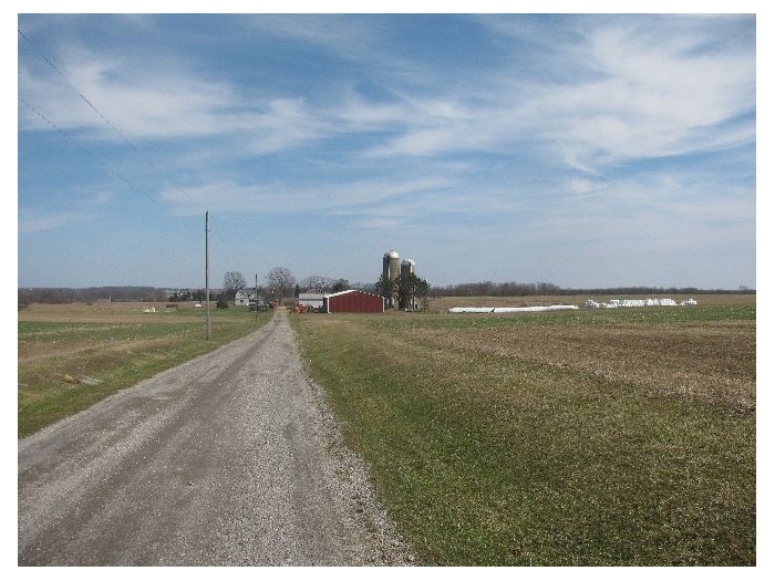 Steiner Farm Auction featured photo 1