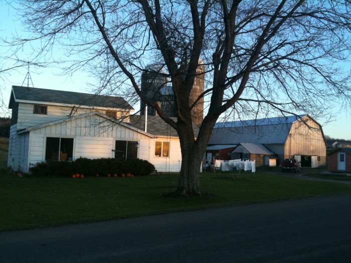Cattaraugus County New York Real Estate Auction featured photo 1