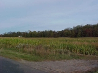 Wallick Land Auction featured photo 4