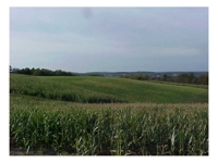 Wallick Land Auction featured photo 1