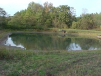 Wallick Land Auction featured photo 11