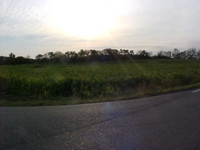 Wallick Land Auction featured photo 6
