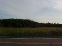 Wallick Land Auction featured photo 7