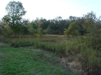 Wallick Land Auction featured photo 9