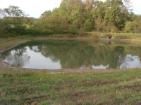 Wallick Land Auction featured photo 12