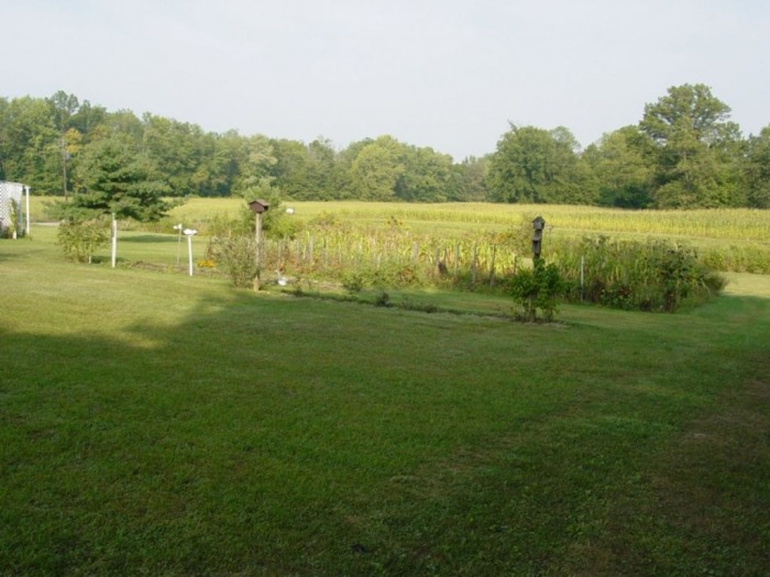 Peterson Auction featured photo 9