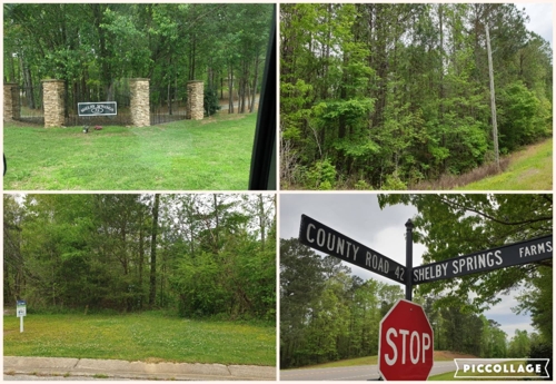 Shelby Springs Lots - ABSOLUTE Real Estate Offering - 3 lots  featured photo