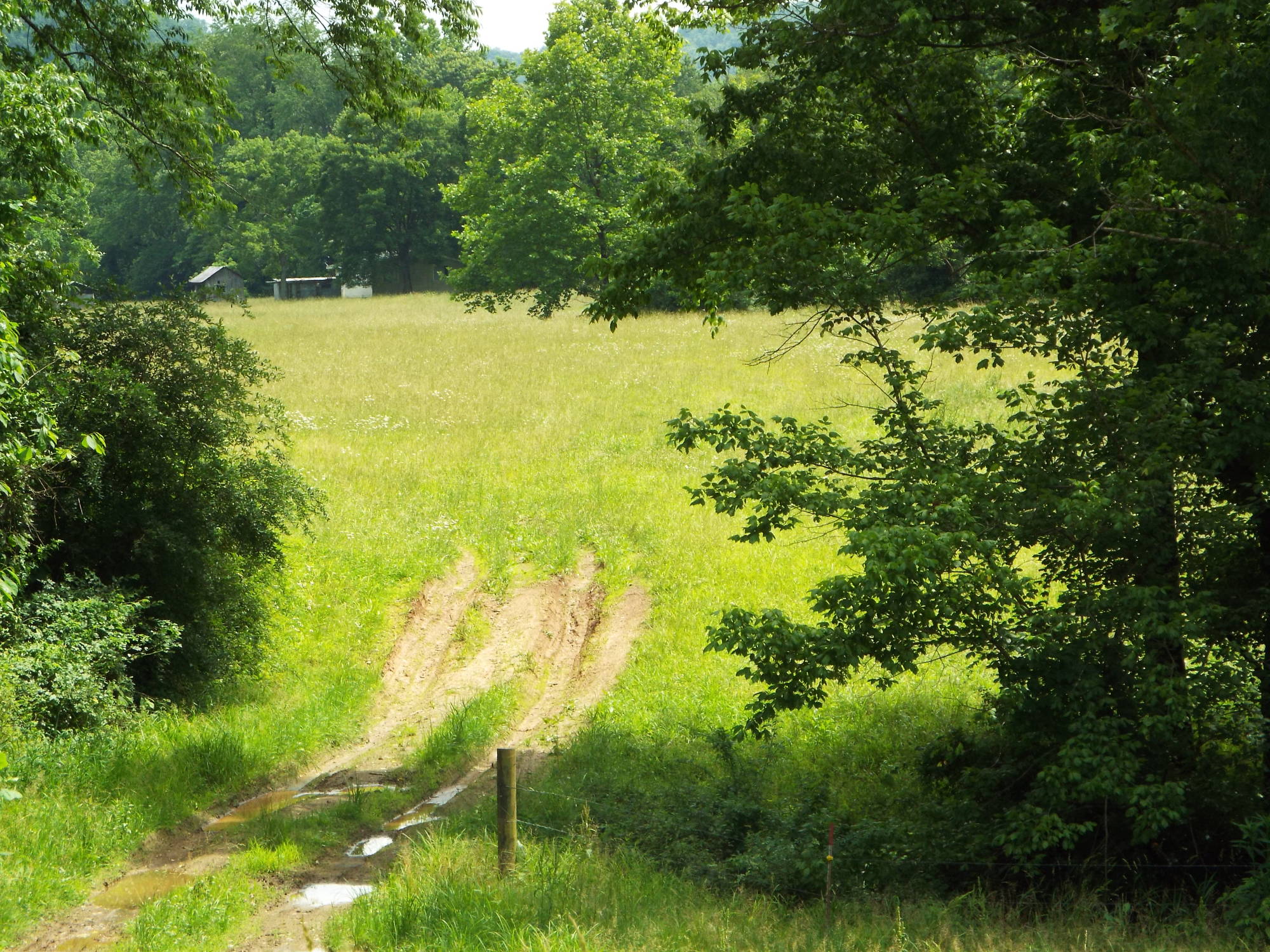 6 Calhoun County Farms & Commercial Real Estate featured photo 3